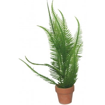HAQUOSS PHYTOS 8 - 5x5x22h cm